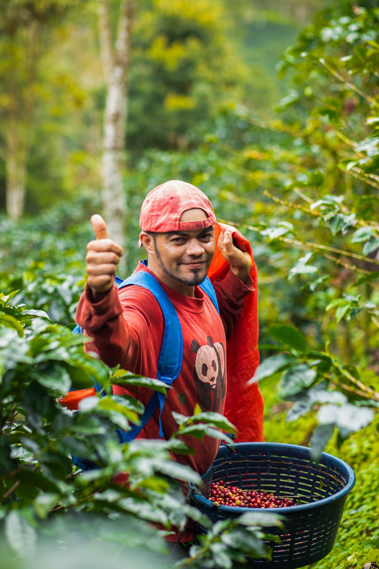Finca Esquipulas