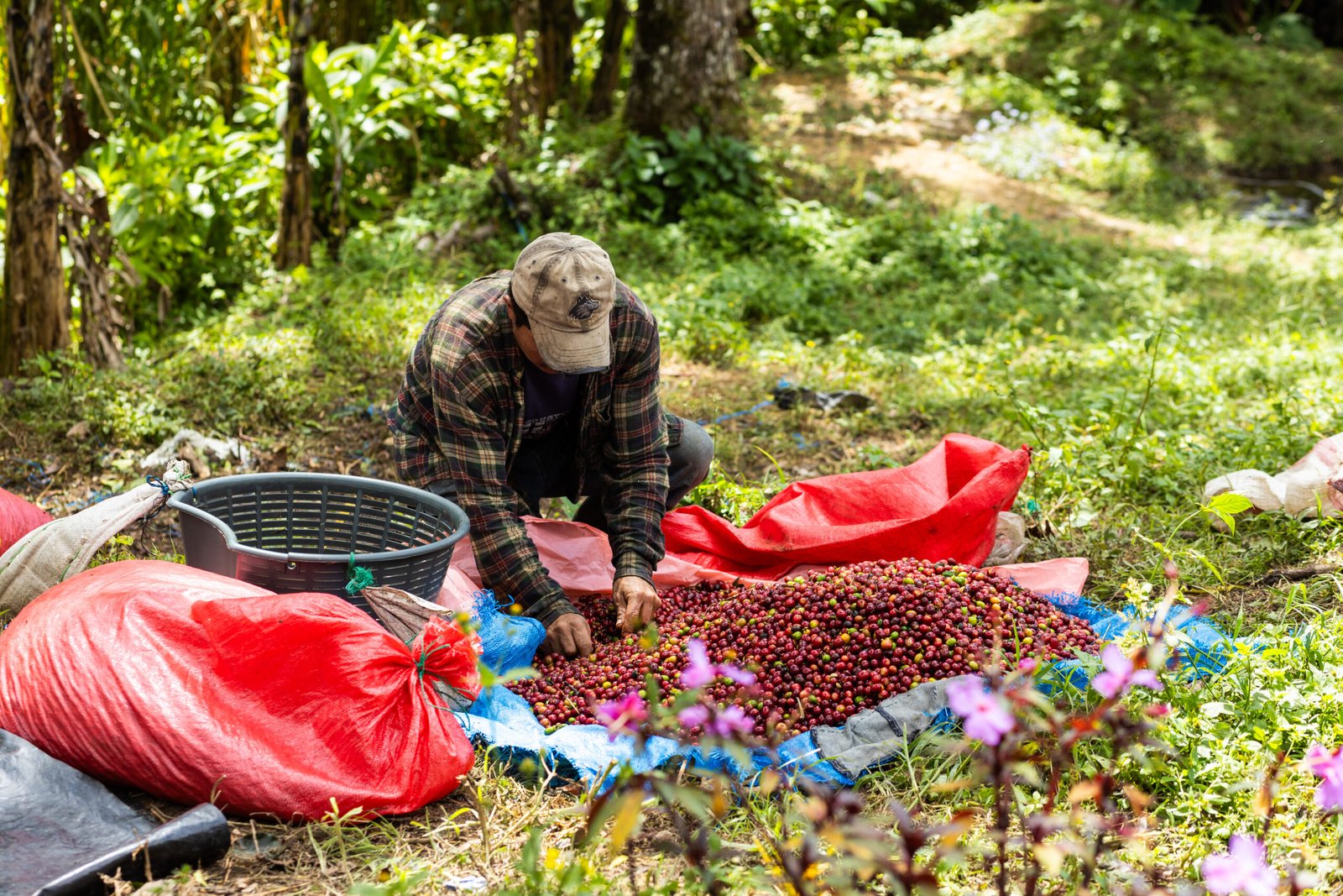 Finca Esquipulas