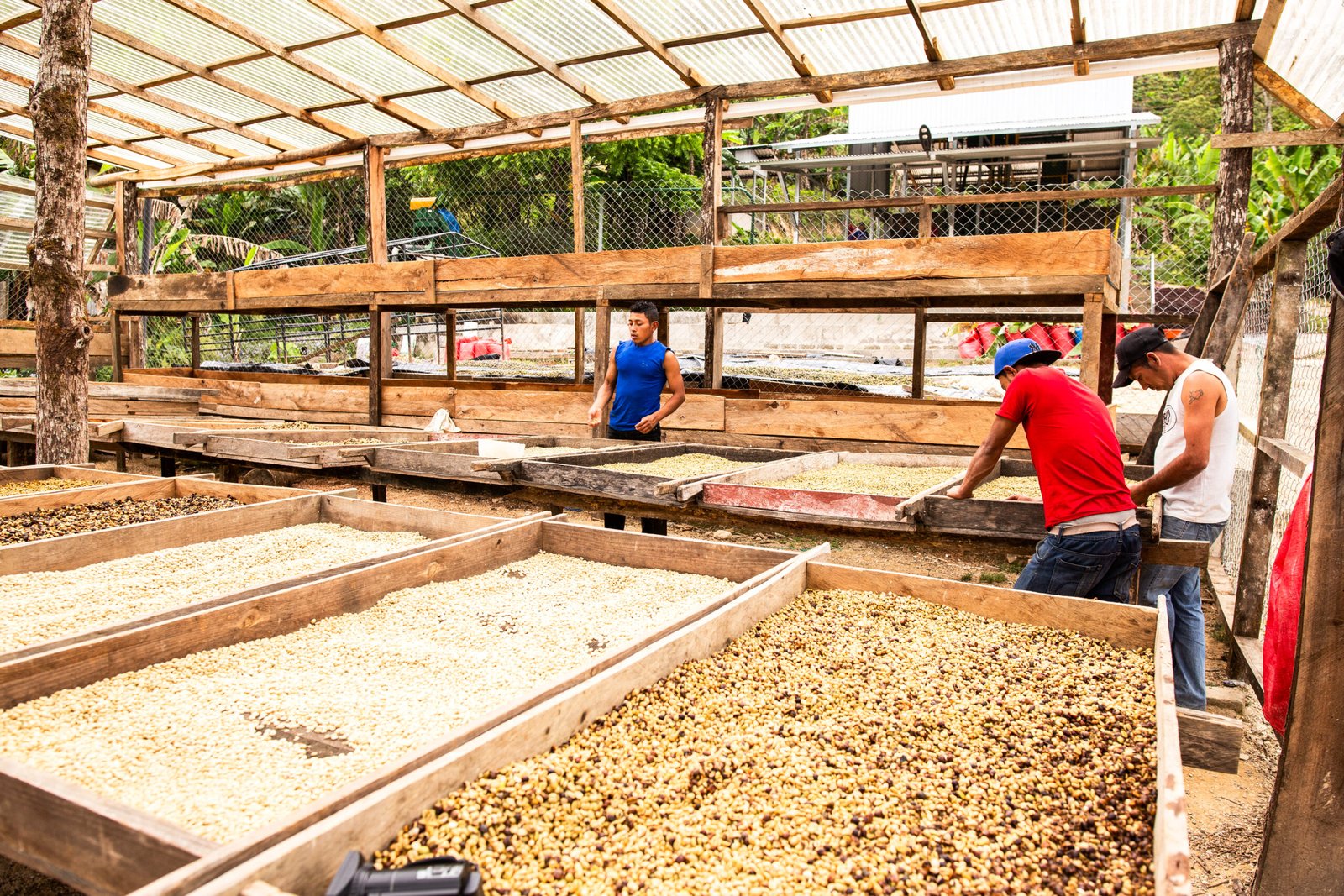 Finca Esquipulas