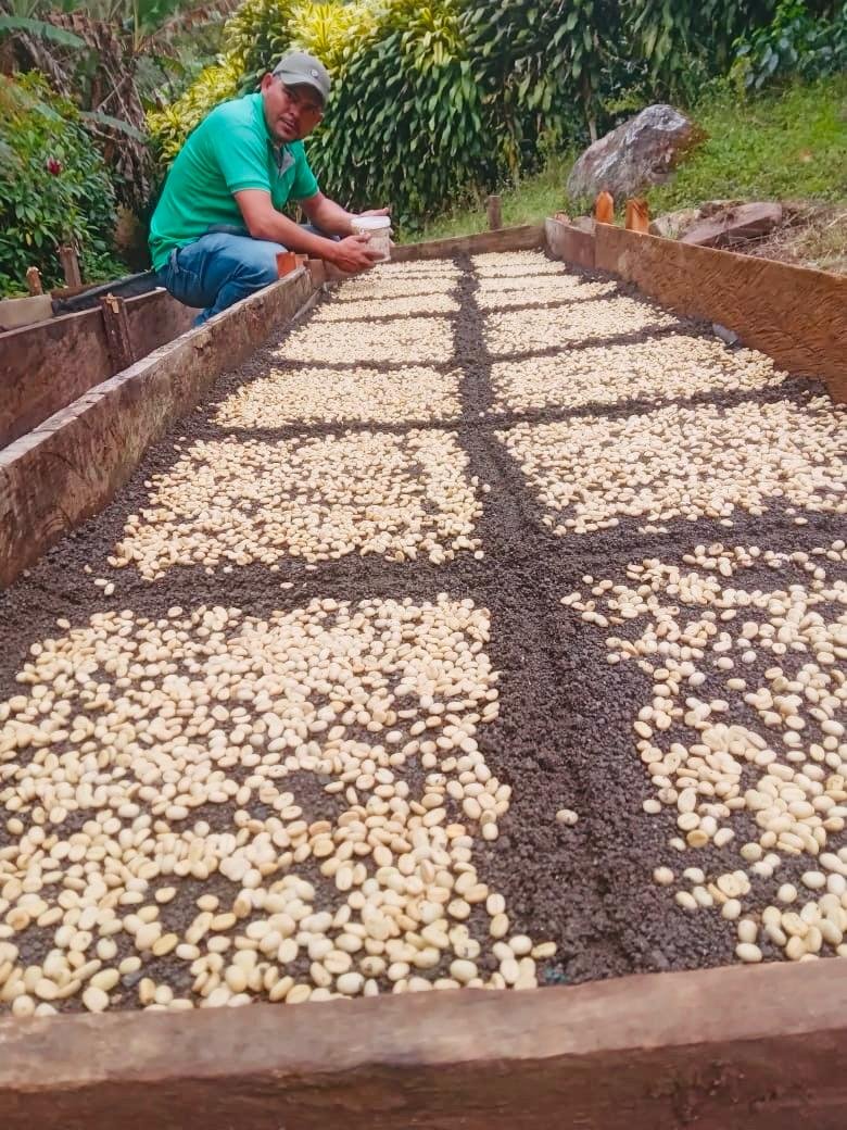 Finca Esquipulas Jinotega