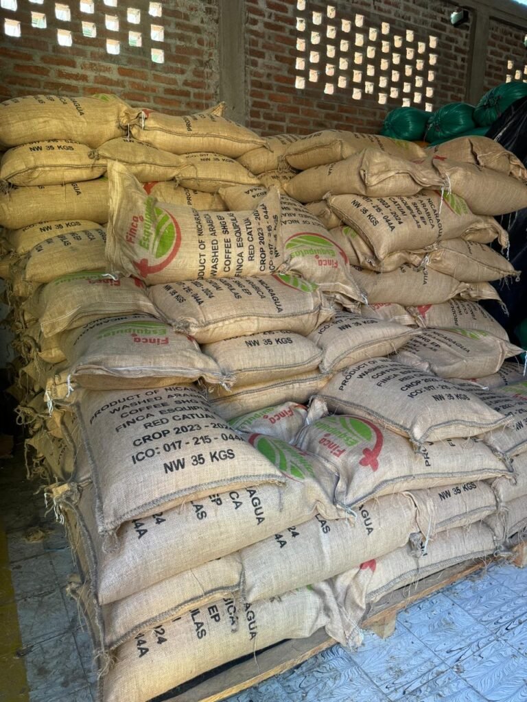Finca Esquipulas Jinotega